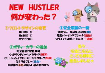 展示会のお知らせ＆クリーン活動実施！！